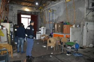 Catania, corse clandestine: sequestrati 5 cavalli e stalle abusive. Vie ‘murate’ dalla spazzatura per impedire l’accesso