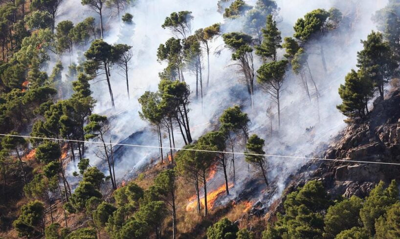 Incendi in Sicilia, Governo delibera stato di emergenza per 12 mesi: stanziamento di 6 mln