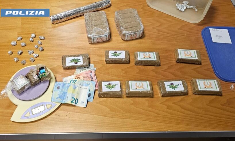 Caltagirone, l’albero dell’hashish in zona Vignitta: arrestato 54enne