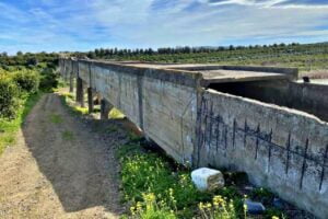 Agricoltura, crisi idrica Piana di Catania: Cia chiede al Prefetto tavolo di confronto