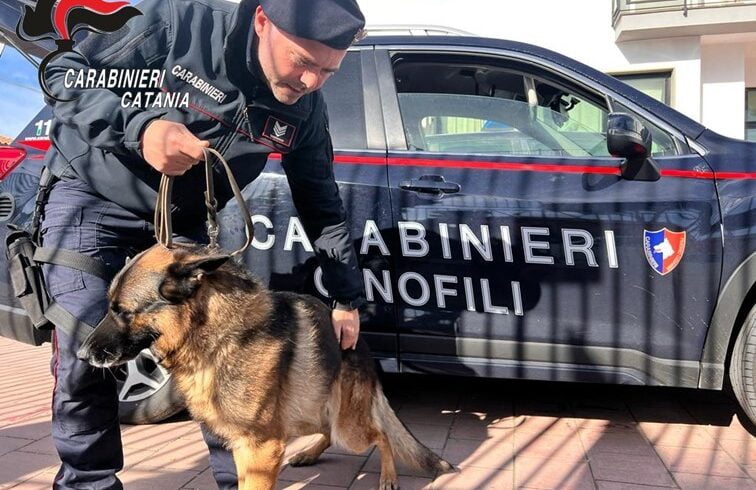 Pedara, cane fiuta marijuana nei bagno di una comunità d’accoglienza per extracomunitari