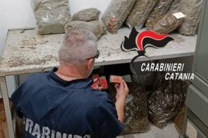 Catania, nel sottotetto di un palazzina scovati 8 panetti di hashish: in zona Stadio