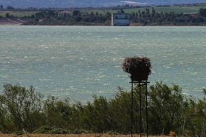 Siccità in Sicilia, in funzione il secondo impianto di sollevamento d’acqua del lago Biviere di Lentini