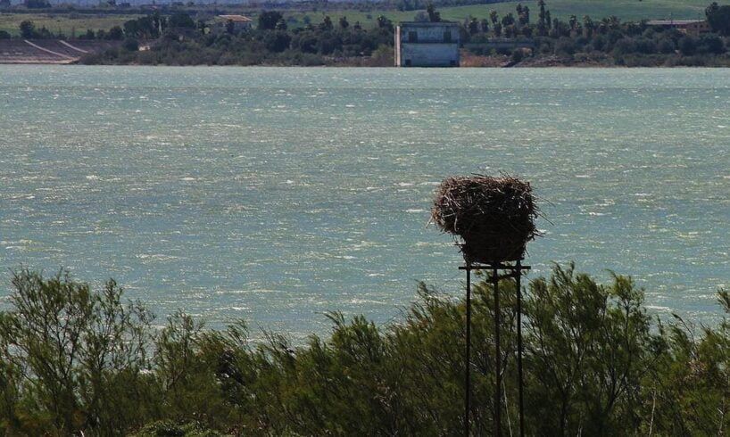 Siccità in Sicilia, in funzione il secondo impianto di sollevamento d’acqua del lago Biviere di Lentini