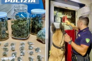 Catania, cani antidroga della Polizia al lavoro nelle piazze di spaccio: sequestrate 1500 dosi e 4 kg da confezionare