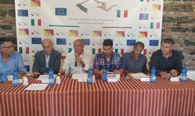 Paternò, siccità nella Piana di Catania: Comitato spontaneo agricoltori scrive al ministro Lollobrigida e al presidente per chiedere interventi