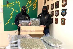 Catania, 10 kg di marijuana e hashish sequestrati in terreno agricolo di Picanello: 4 giovani arrestati