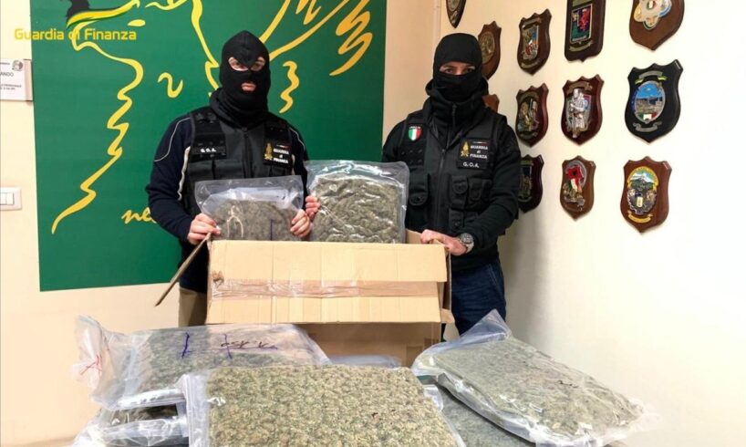 Catania, 10 kg di marijuana e hashish sequestrati in terreno agricolo di Picanello: 4 giovani arrestati