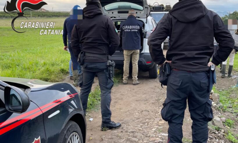 Lotta al caporalato, controlli in due aziende di Paternò: 4 persone denunciate per sfruttamento del lavoro