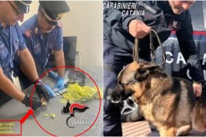 Zafferana Etnea, spacciatore 42enne smascherato dai cani antidroga: arrestato in flagranza