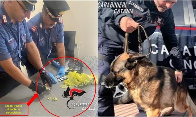 Zafferana Etnea, spacciatore 42enne smascherato dai cani antidroga: arrestato in flagranza