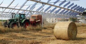 New economy, il dilemma degli agricoltori: coltivare la terra o disseminarla di pannelli fotovoltaici?