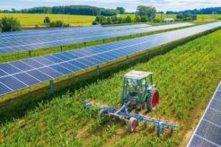 New economy, il dilemma degli agricoltori: coltivare la terra o disseminarla di pannelli fotovoltaici?