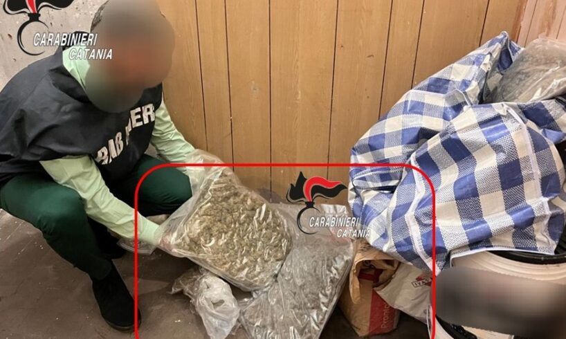 Catania, spacciatore 29enne deteneva 5 kg di marijuana in un bilocale disabitato: arrestato