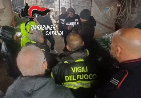 Aci S. Antonio: nell’’allevamento di animali trovati liquami, carcasse e amianto. Attività sospesa e titolare denunciato