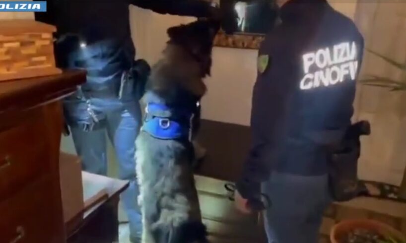 Catania, 34enne barman-spacciatore incastrato da due cani antidroga: arrestato (VIDEO)